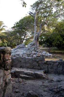 Mayan ruins at condo 6043