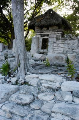 Playa ruins 6063