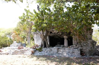 Mayan ruins in Playa delCarmen 6368