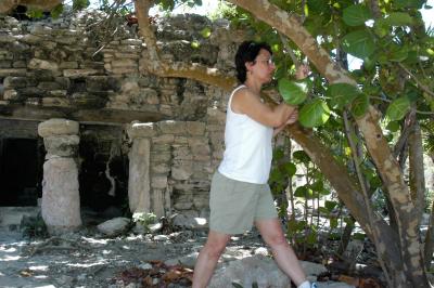 Pat examines termites at Playa ruin 6395
