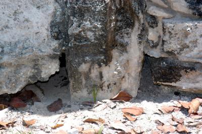 Playa iguana condo 6373