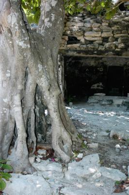 Ruin at Playa del Carmen 6384
