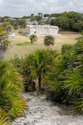 Tulum grounds 6267