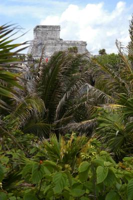 Tulum temple from jungle 6268