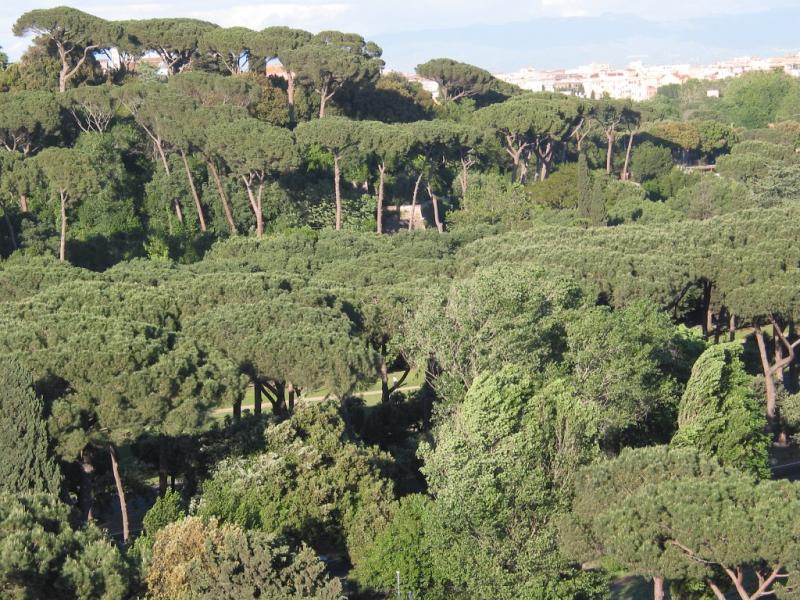 Monte Celio