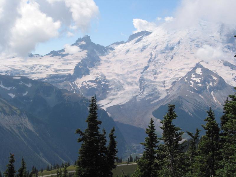 v3/31/529731/2/48752620.01113Mt.Rainiertreesreceding.AutoNLNPwUnsharp13Q85.jpg