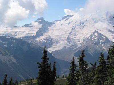 v3/31/529731/3/48752620.01113Mt.Rainiertreesreceding.AutoNLNPwUnsharp13Q85.jpg