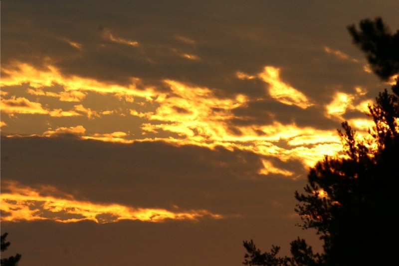 ...the Fire Still Burns