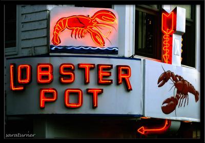 the lobster pot