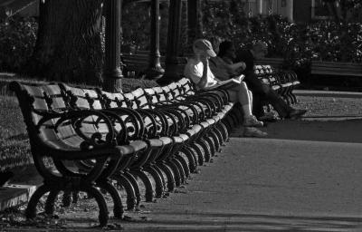 reading on park bench