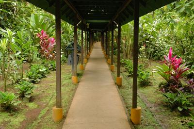 Selva Verde Lodge walkway