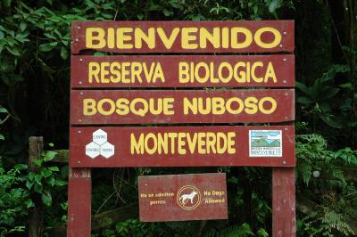 Monteverde Crowd Forest