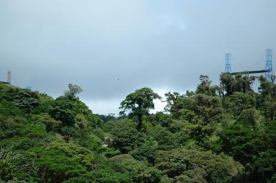 Skytrek zip line   - find the person