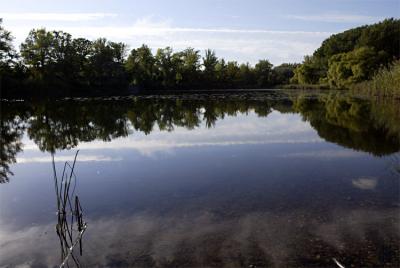 Lobau