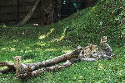 P7101994-RWS8bit-01sm.jpg