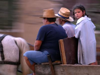 horse carriage girl.jpg