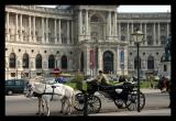 in the Hofburg