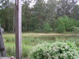 copy P9240010.jpg