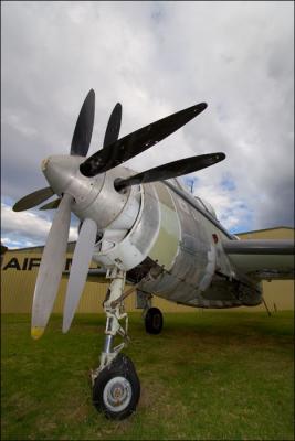 Fairey Gannet