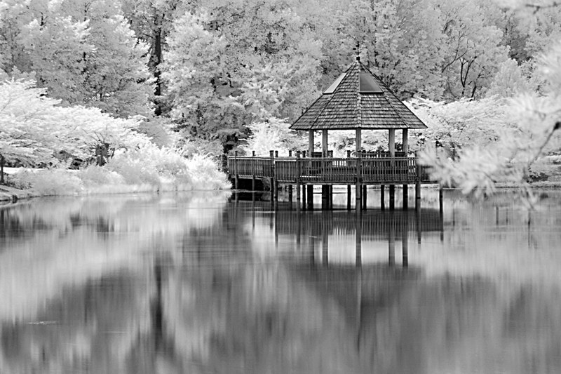 8 10 05 Meadowlark Botanical Gardens Photo Ed Knepley Photos