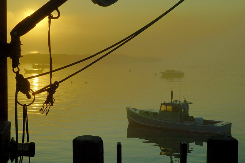 8/05 - Harbor Sunrise