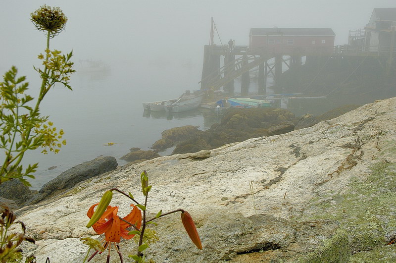 8/21/05 - Five Islands Harbor, Maine