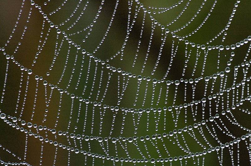 9/13/05 - Natures Jewelry