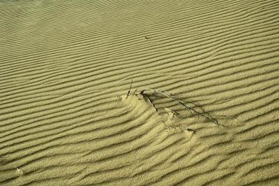 6/17/05 - On a Sand Dune