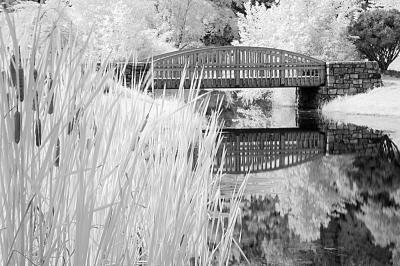 8/10/05 - Meadowlark Botanical Gardens