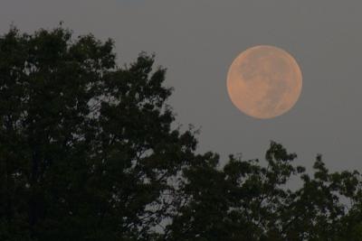 9/18/05 - Setting Moon