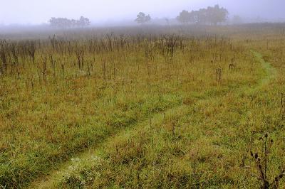 10/14/05 - Big Meadows Trail