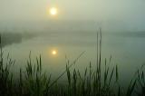 6/5/05 - Foggy Sunrise