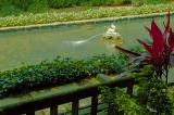 8/1/05 - Oatlands Plantation