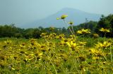 8/12/05 - Old Rag Mountain