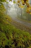 10/6/05 - Fisher Gap Fire Road