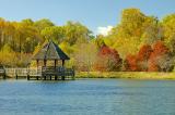 11/3/05 - Meadowlark Gardens