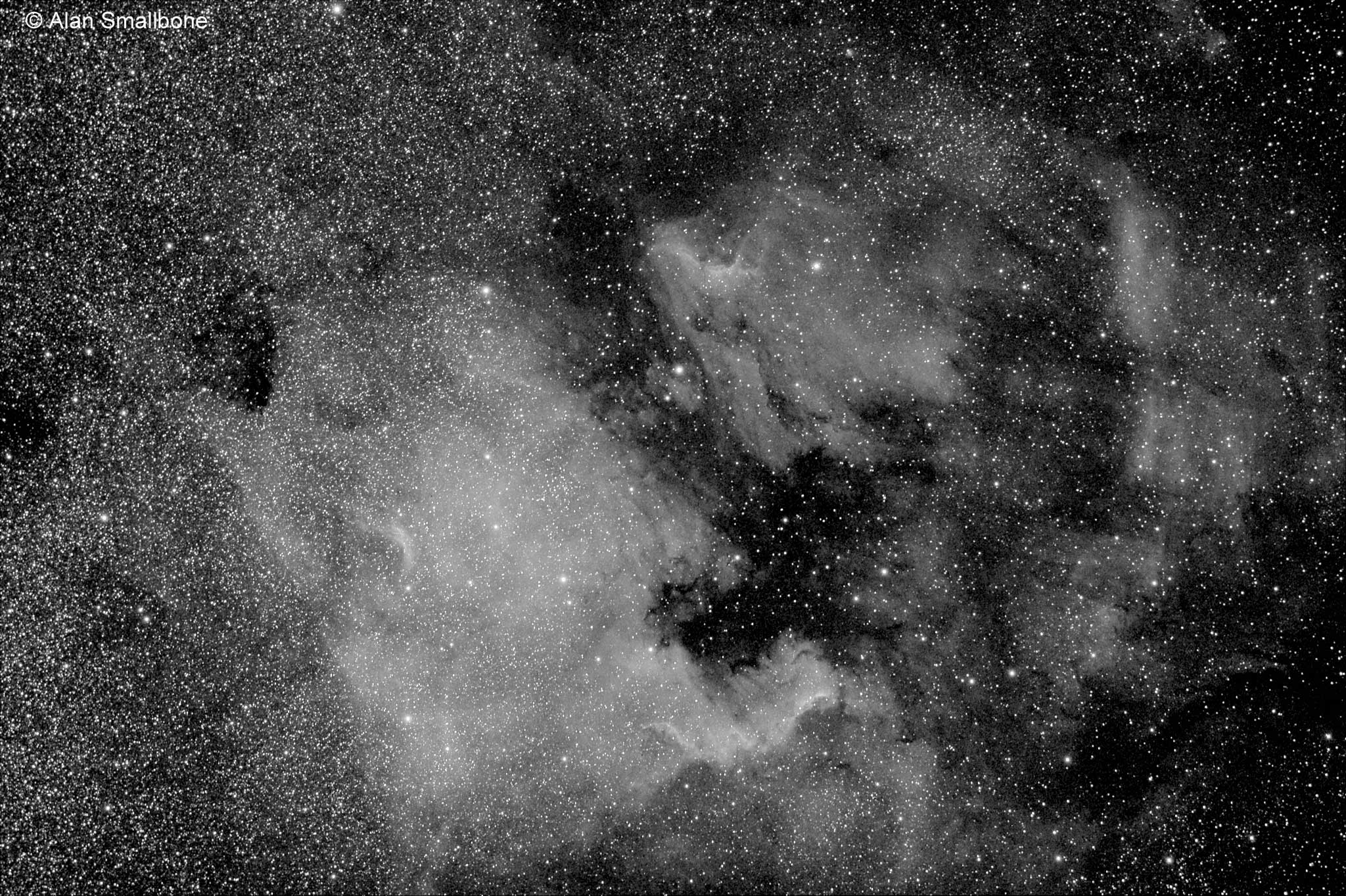 NGC7000 and Pelican Nebula and area