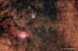 M8 and M20 widefield