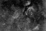 Sadr and gamma cygni nebula
