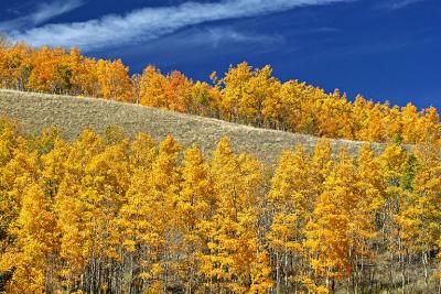 Colorado Fall Trip 2005