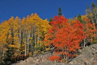 IMG_2827 road to Bear Lake.jpg