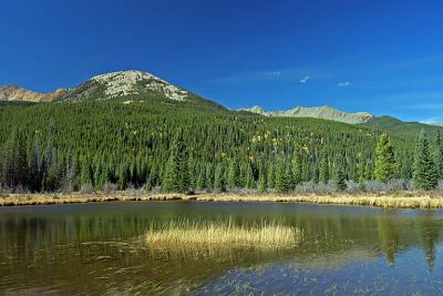 IMG_3040 RMNP beaver pond.jpg