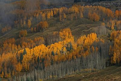 IMG_4464 firey hillside.jpg