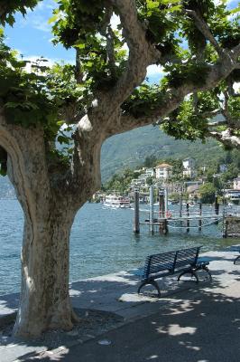 v3/32/539732/3/45434538.Ascona1_2.jpg