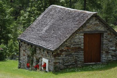 huis in gras.jpg