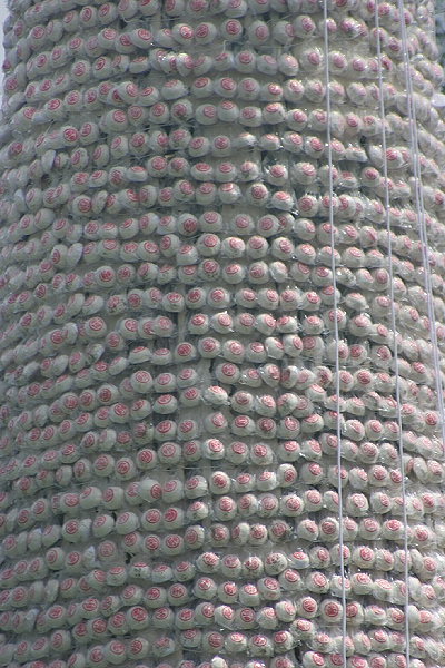 Bun Tower (Close Up)