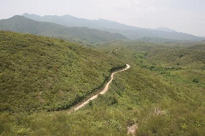 Trail Near Tiu Tang Lung