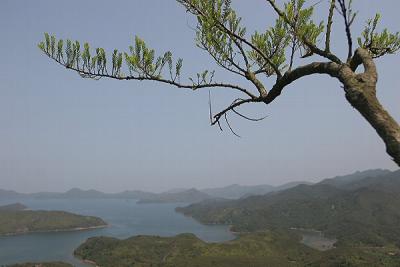Branch and Yan Chau Tong Marine Park