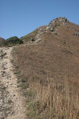 Last Path to top of Lantau Peak
