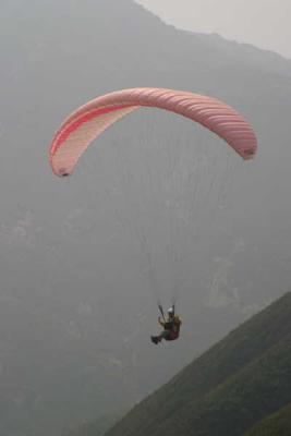 Pink Paraglider (Closer)